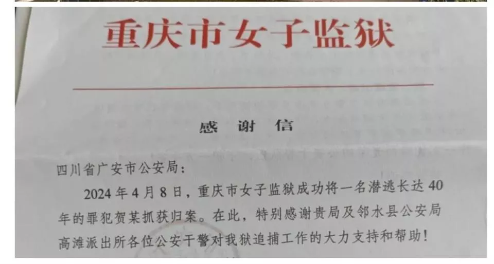 越狱40年的七旬女犯重新落网,律师:高龄不是免罚理由