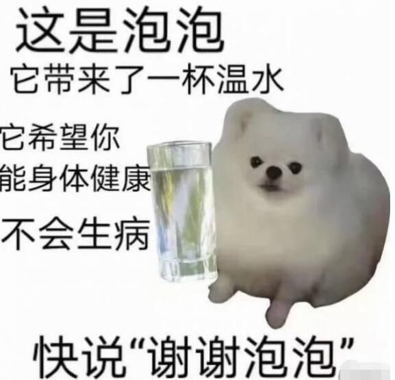 谢谢泡泡梗的意思含义出处介绍